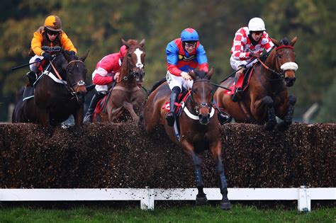 ascot racing results